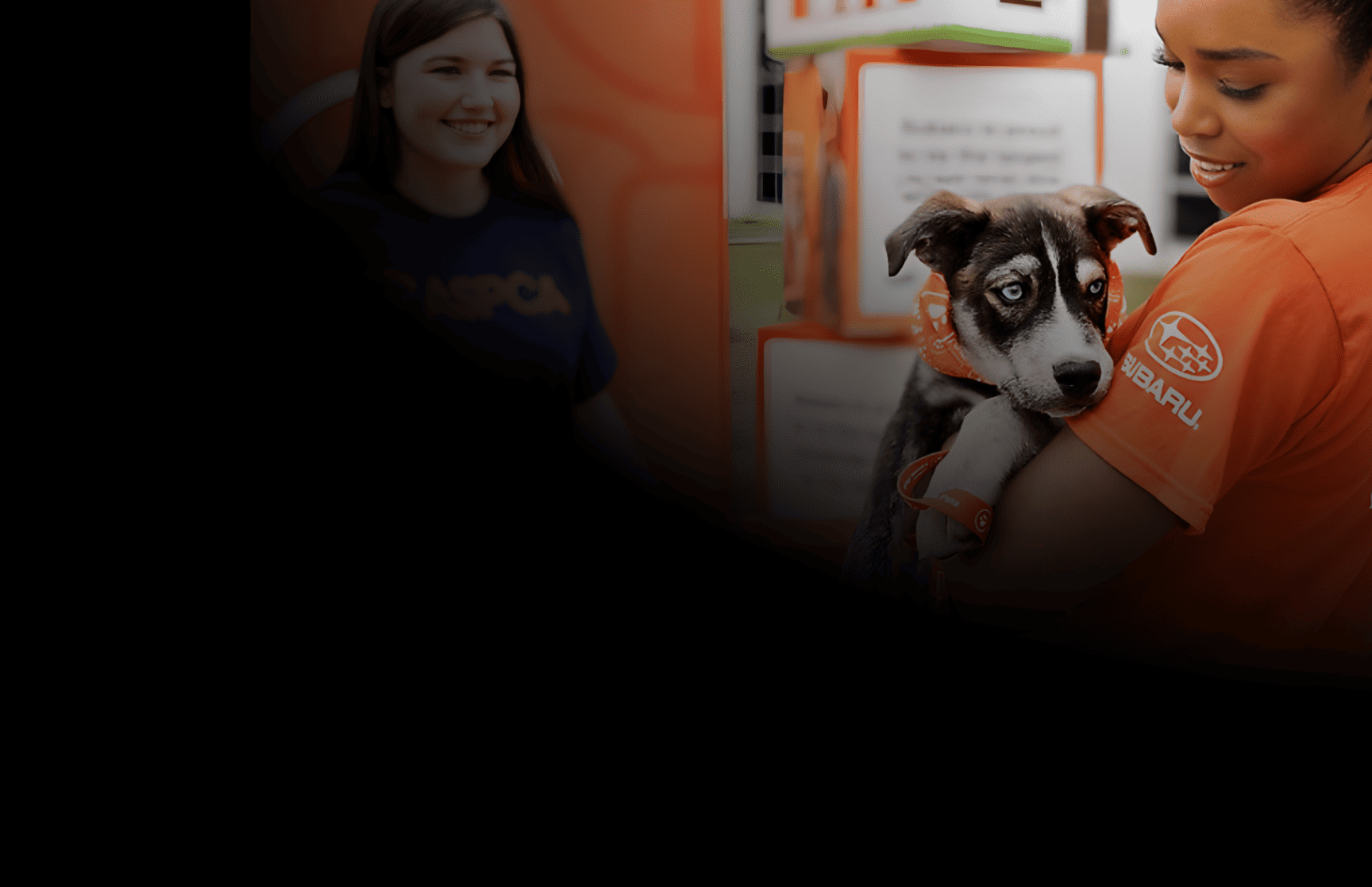 Subaru National Make a Dog's Day, 8.3M views