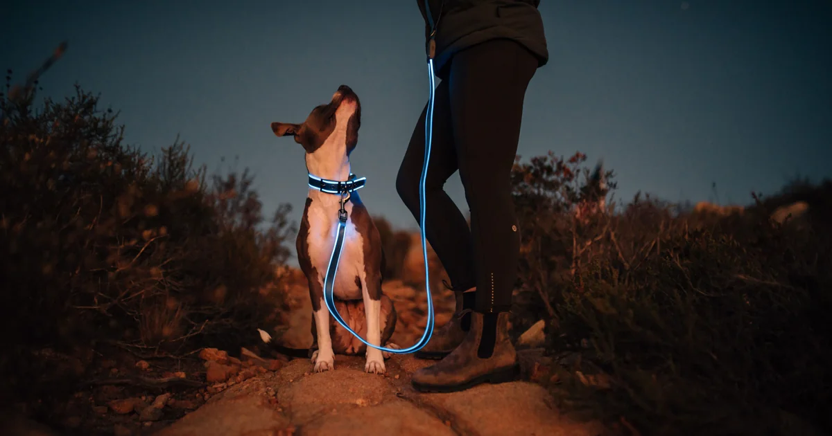 Nite Ize delivered 372 content pieces, 780% over promise