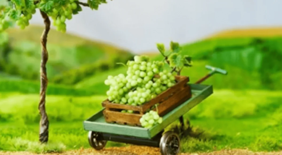 AutumnCrisp reached 1.2M views with 12 creators